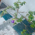 Casa Com Piscina E 3 Suites