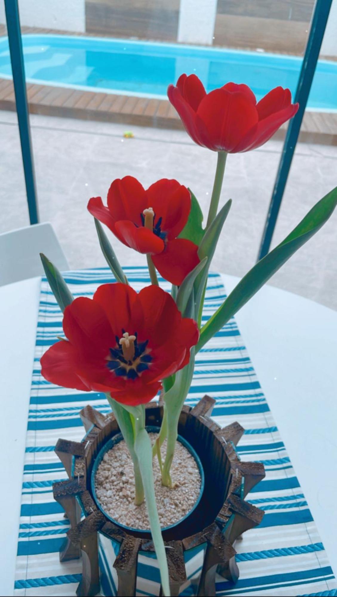 Сasa de vacaciones Casa Com Piscina E 3 *